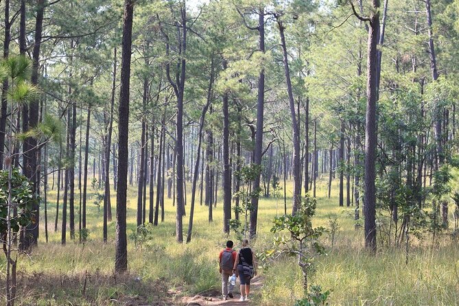 Kirirom National Park Private Day Tour from Phnom Penh - Driving Up Kirirom Mountain