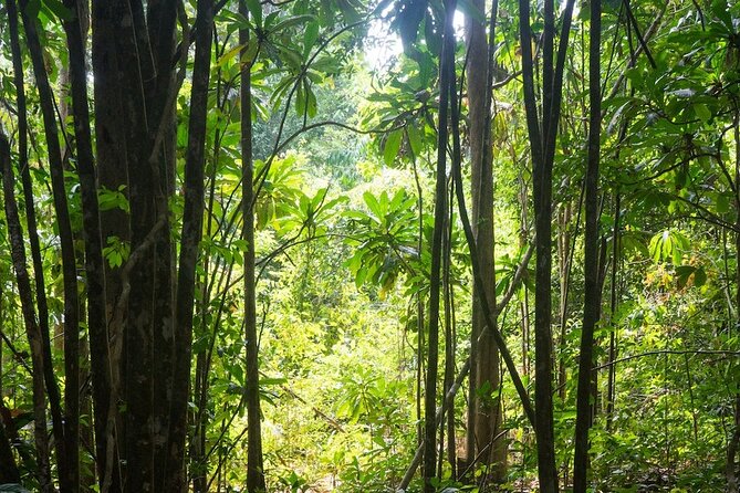 Kirirom National Park Private Day Tour from Phnom Penh - Is $127 Per Person Good Value?