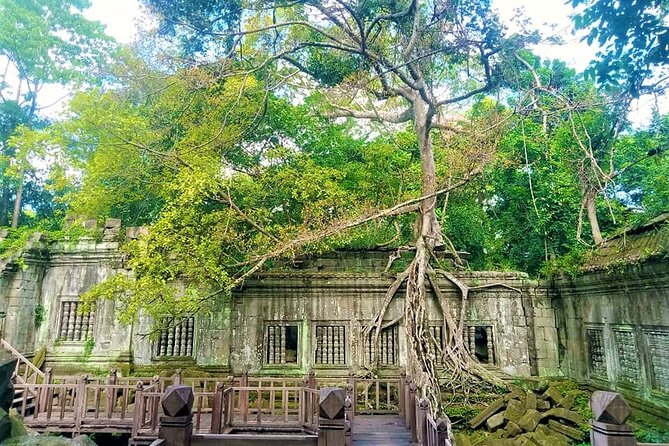Koh Ker & Beng Mealea Temple Full-Day Private Tour from Siem Reap - The early hotel pickup from Siem Reap