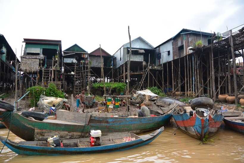 Kompong Phluk and Tonlé Sap Lake: Half-Day Tour - Birdlife and the quiet side of the lake