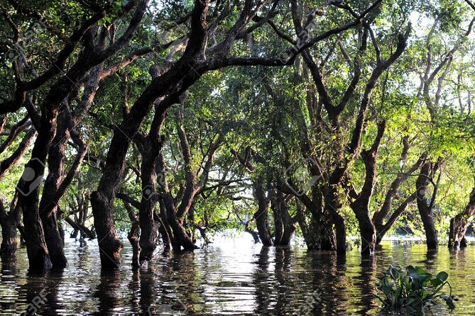 Kompong Phluk Village Tonle Sap Lake Half-Day Tour From Siem Reap - The ride from Siem Reap to the water