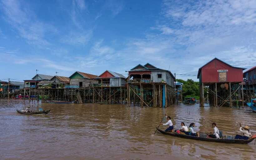 Kompong Pluk Tour - Mangrove forest and the seasonal rowing boat