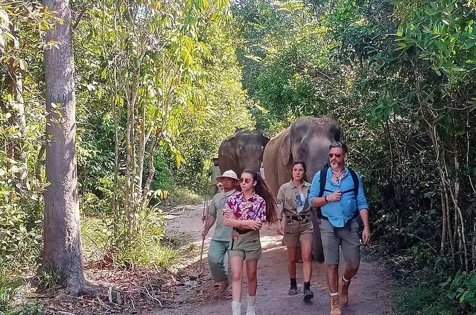 Kulen Elephant Forest and Tonle Sap Lake by Private Tour - Food at the elephant camp