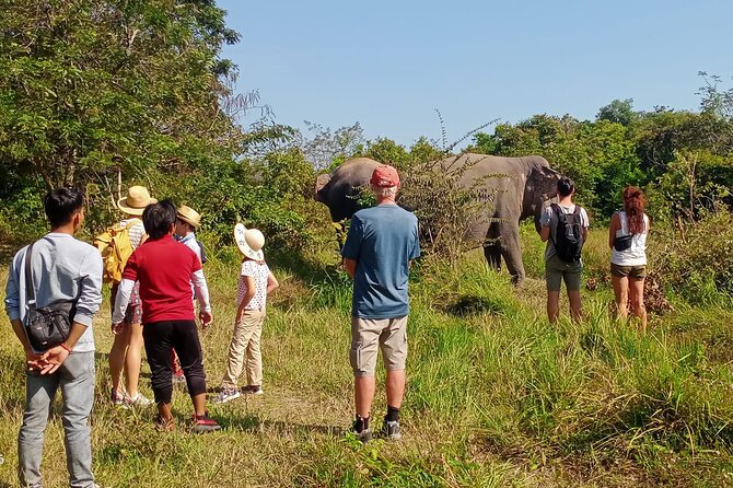 Kulen Elephant Forest and Tonle Sap Lake by Private Tour - Meeting the elephants in a protected forest