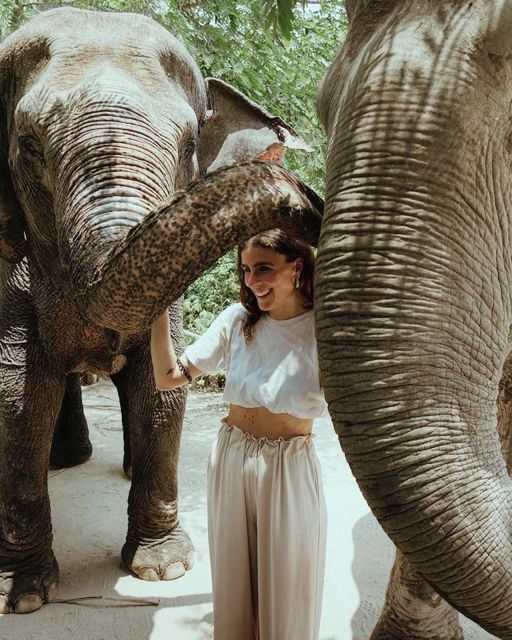 Kulen Elephant Forest Siem Reap in Small Group - What the guides add to the visit