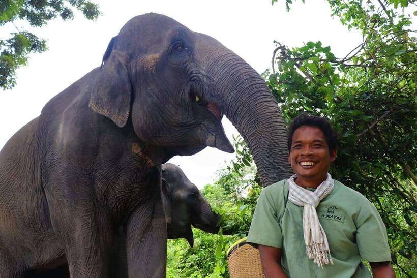 Kulen Elephant Forest Siem Reap in Small Group - The one-hour ride from downtown Siem Reap