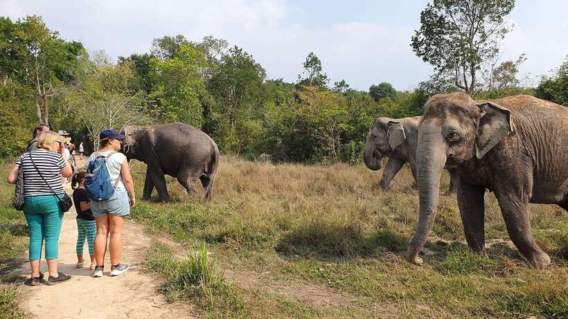 Kulen Elephant Forest & Tonlesap Lake - Key points at a glance