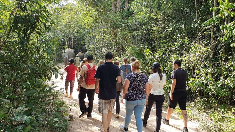 Kulen Elephant Forest & Tonlesap Lake - Is $126 per person good value?