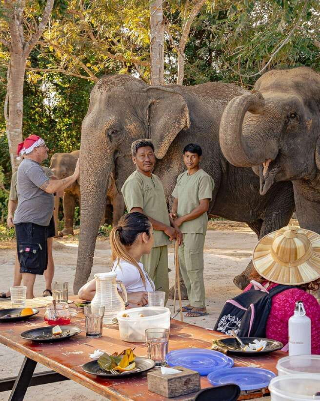 Kulen Elephant Forest & Tonlesap Lake - Meeting the elephants in their forest home