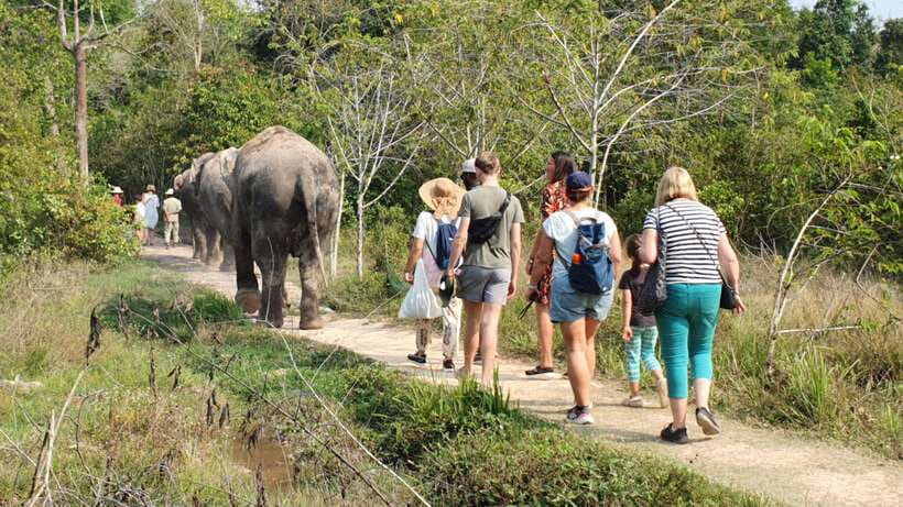 Kulen Elephant Forest & Tonlesap Lake - The two-kilometer walk and waterfall scenery