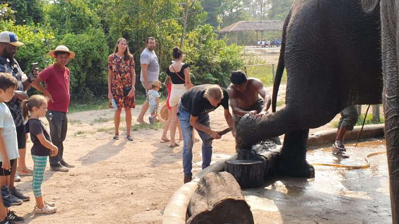Kulen Elephant Forest & Tonlesap Lake - The floating market and flooded forest canoe ride