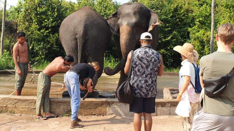 Kulen Elephant Forest & Tonlesap Lake - Guides, drivers, and the human side of the day