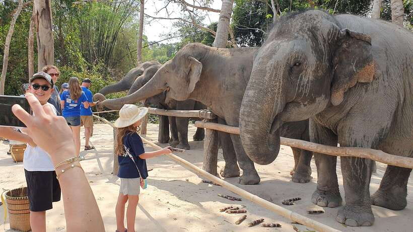 Kulen Elephant Forest & Tonlesap Lake - The drive from Siem Reap to Kulen Elephant Forest
