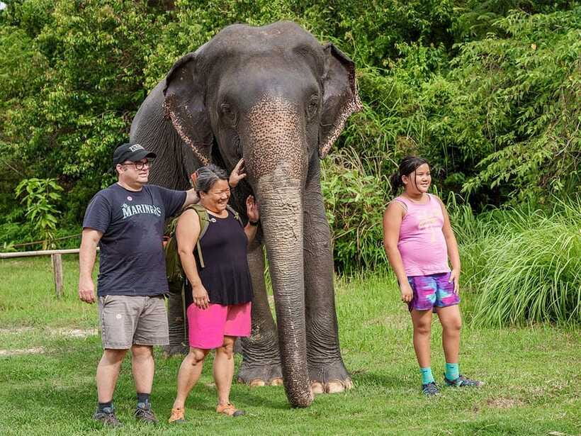 Kulen Elephant Forest Tour with Hotel Pick-up & Drop off - Who Will Enjoy This Tour Most?