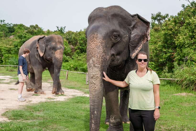 Kulen Elephant Forest Tour with Hotel Pick-up & Drop off - The 7:30 am Pickup Starts With a Long Transfer