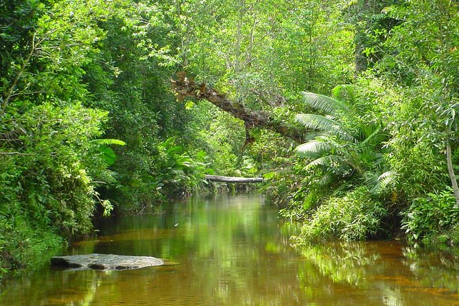 Kulen Waterfall and 1000 Lingas River Private Tour - What the Private Format Really Gives You