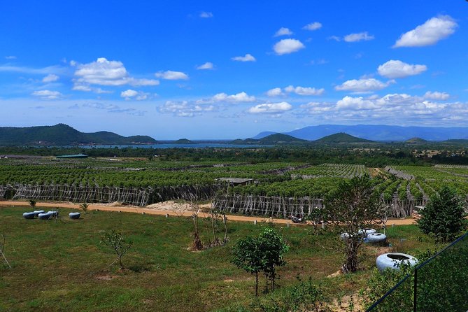La Plantation tour (discovering Kampot Pepper) + Lunch - Reaching La Plantation between Kampot and Kep