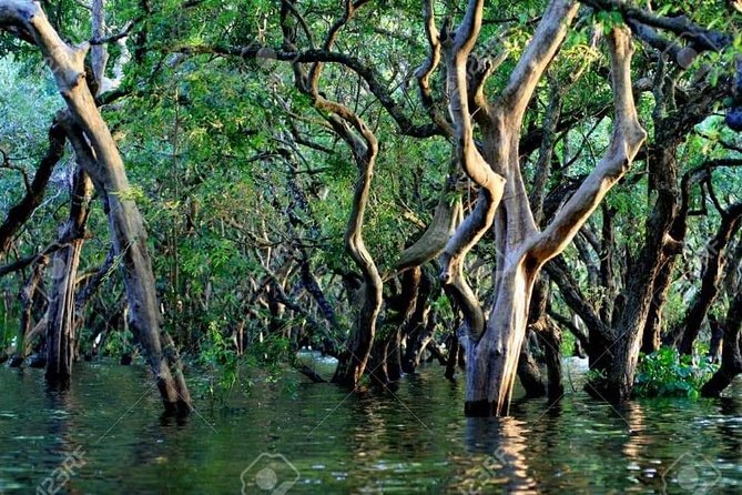 Mechrey Floating Village Tour & Mangrove from Siem Reap - Private guiding and the value of the $45 price