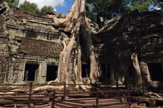 Night Street Tour in Siem Reap - Pub Street, Khmer dishes, and the speakeasy stop