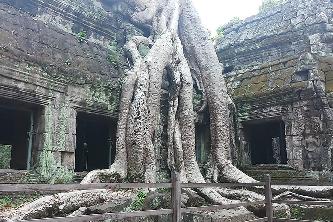 One day Angkor temple tour with private driver - Angkor Thom and the many-faced Bayon