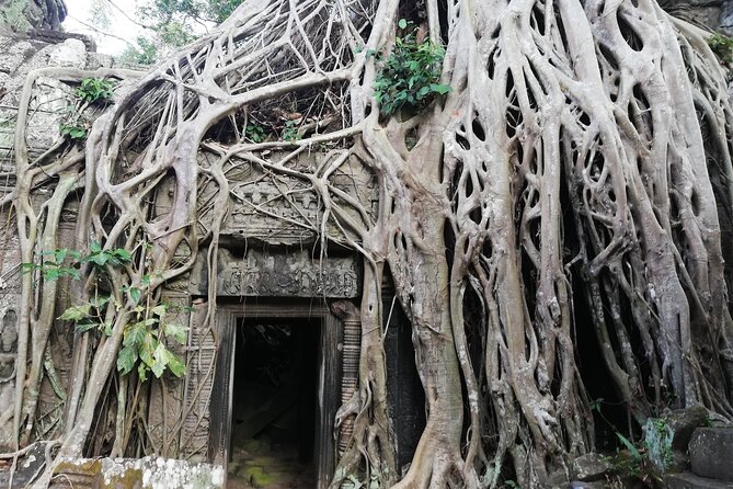 One Day Angkor World Heritage Tour - Ta Prohm, where jungle and stone meet
