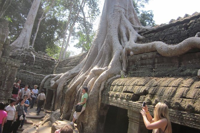 One Day Angkor World Heritage Tour - How the guides shape the day