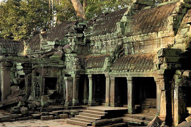 One Day Private Guide Tour of Angkor Thom, Bayon, Ta Phrom & Angkor Wat - Ta Prohm, where stone and trees share the frame