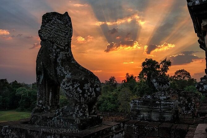 One Full Day Private tour of Angkor Wat, Ta Prohm, Angkor Thom & Banteay Srie - Ta Prohm and its jungle-covered ruins