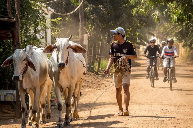 Oudong Temples & Phnom Prasith Private Tour from Phnom Penh - Who will enjoy this tour most