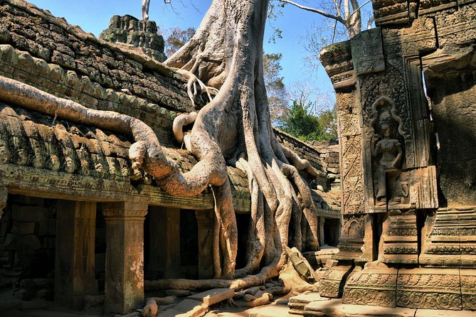 Personalised Angkor Wat Day Tour by an Air-conditioned Car - Baphuon, steep stairs and a change of pace