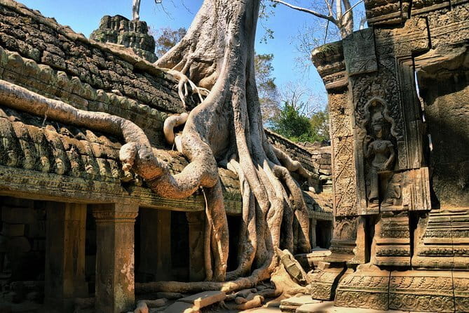 Personalised Angkor Wat Sunrise Off-the-Beaten Track Tour - Ta Prohm and the Tomb Raider connection