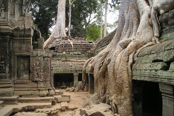 Personalised Angkor Wat Sunrise Tour by an air-conditioned car - Why the 5:00 a.m. start is worth it
