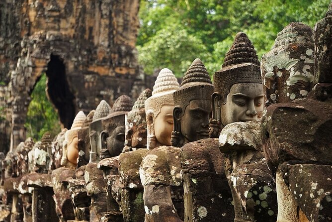 Personalised Angkor Wat Sunrise Tour by an air-conditioned car - Ta Prohm and the trees over the ruins