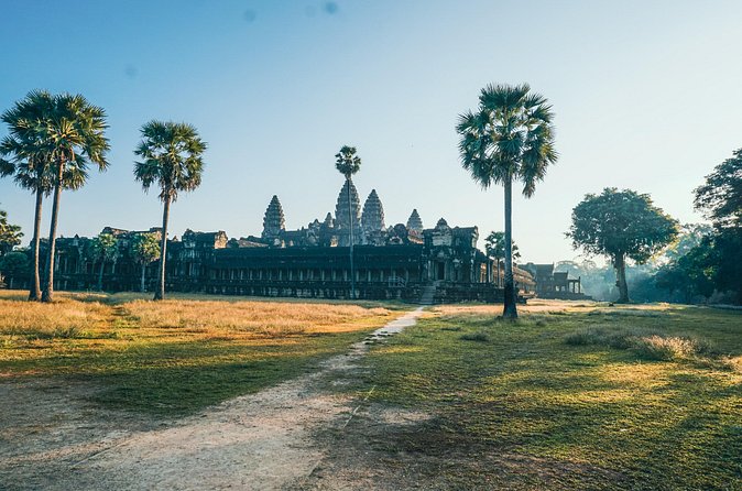 Personalised Angkor Wat Sunrise Tour by TukTuk - Ta Prohm brings nature into the ruins