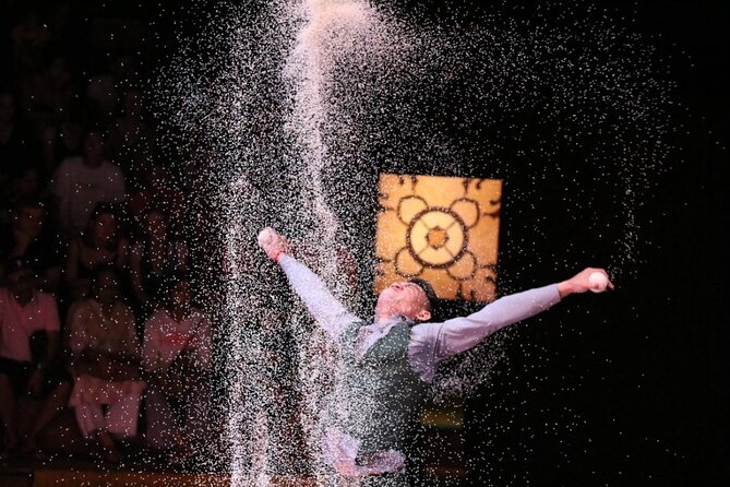 Phare: The Cambodian Circus Show in Siem Reap - Is the $18 price good value?