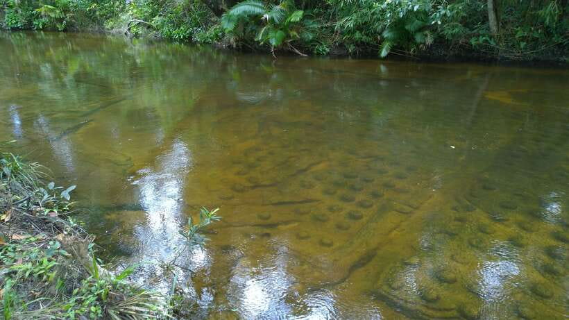 Phnom Kulen National Park Admission Ticket - What the $19 price really covers