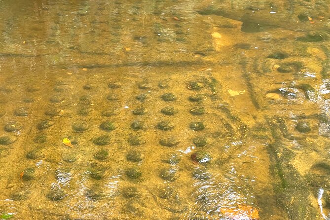 Phnom Kulen Waterfall and Banteay Srei Temple Tour from Siem Reap - Banteay Srei: small scale, extraordinary detail