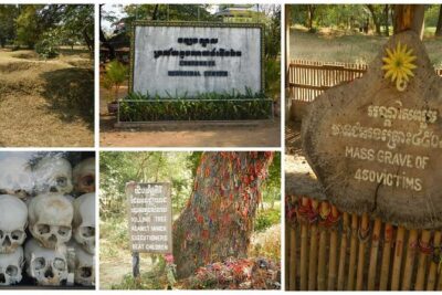 Phnom Penh City Tour, Silver Pagoda, Genocide Museum, Killing Fields