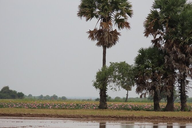 Phnom Penh Countryside Cycle Tour - Meeting makers at sedge and silk workshops