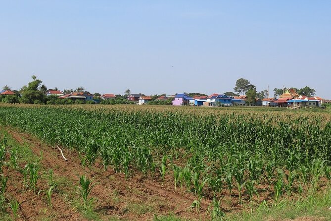 Phnom Penh Countryside Cycle Tour - Who will enjoy this ride most