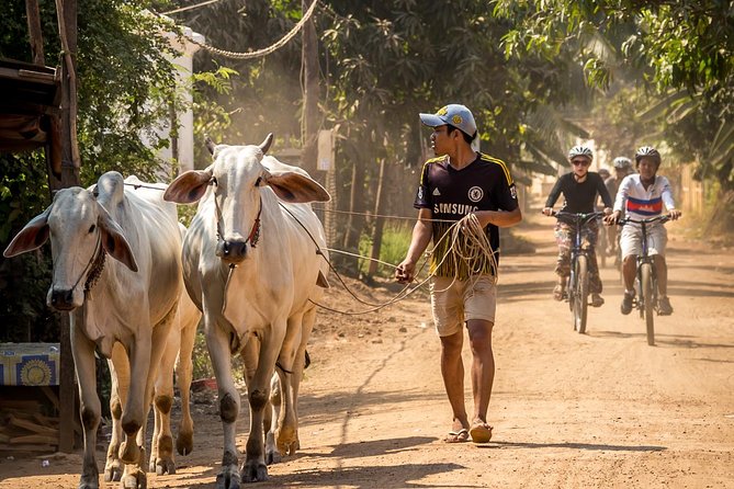 Phnom Penh: Cycling Adventure on Islands of the Mekong - Why this is a good break from Phnom Penh