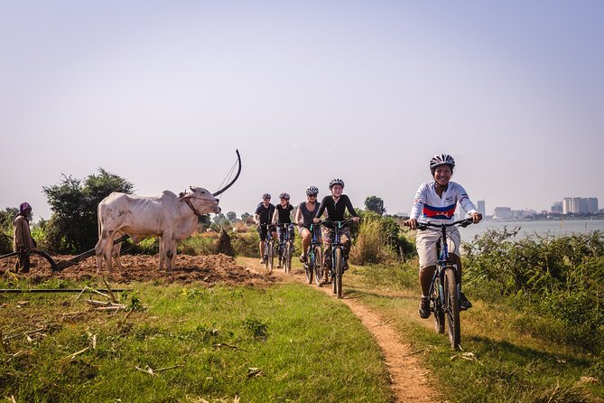 Phnom Penh: Cycling Adventure on Islands of the Mekong - Returning to Phnom Penh by about 12:30