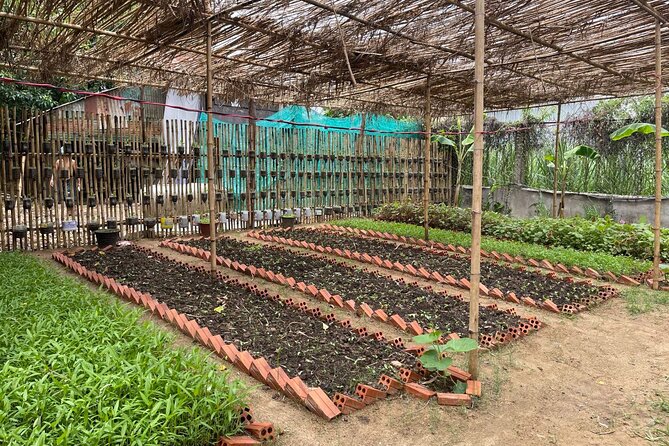 Phnom Penh’s Hands-On Khmer Cooking Class in the Countryside - Timing, Cancellation, and Other Practical Notes