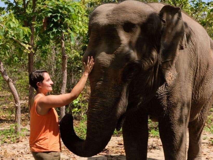 Phnom Tamao Wildlife Center & Buddha Kiri Cambodia Day Tour - Phnom Tamao: Cambodia’s conservation story