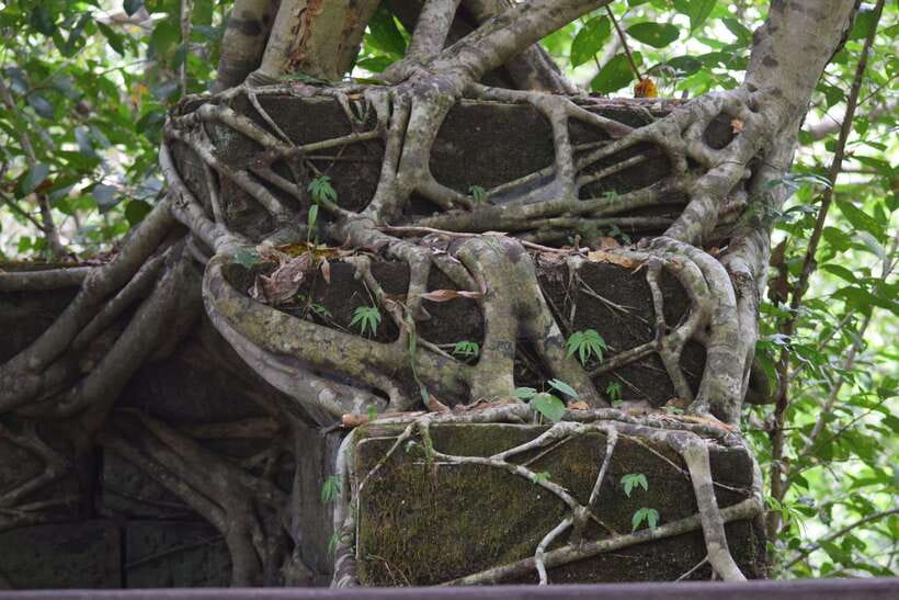 Prasat Thom, Koh Ker Group & Beng Mealea Full-Day Tour - Should you book the Koh Ker and Beng Mealea tour?