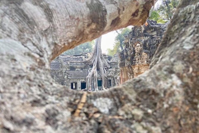 Preah Khan, Ta Prohm, Bayon Off Beaten Track - Why these three temples work well together