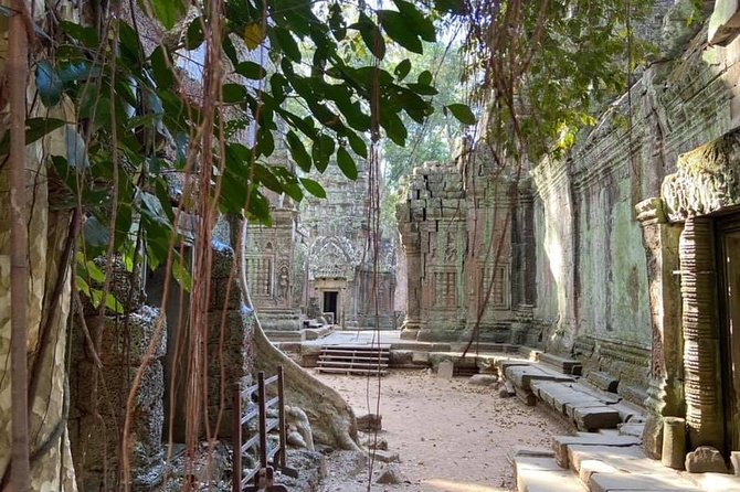 Preah Khan, Ta Prohm, Bayon Off Beaten Track - Ta Prohm: the temple where nature takes part