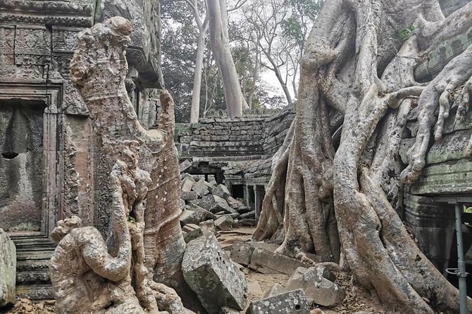 Preah Khan, Ta Prohm, Bayon Off Beaten Track - Preah Khan: two hours among long corridors and old walls