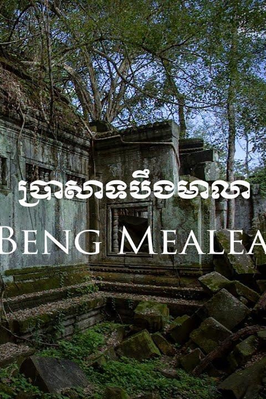 Preah Vihear, Koh Ker and Beng Mealea Private Day Tour - Who should book this day trip?