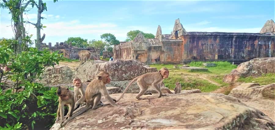 Preah Vihear Temple Koh Ker & BengMealea Tour from Siem Reap - What the private vehicle and driver add